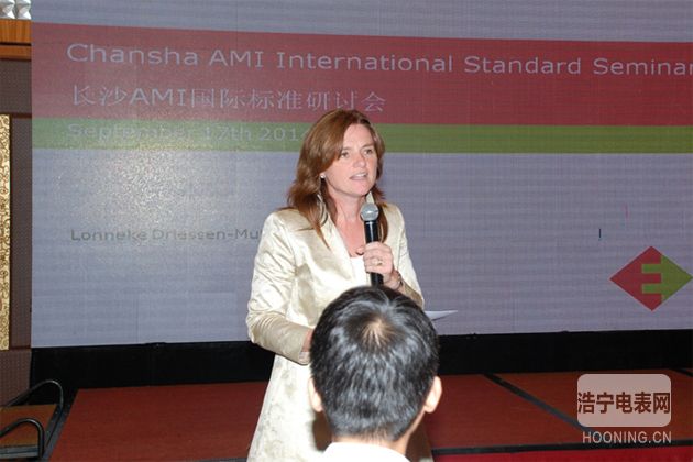 AMI國際標(biāo)準(zhǔn)推進(jìn)會(huì)在長(zhǎng)沙舉行