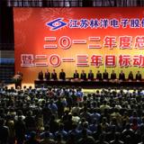 奮斗2013年，為開啟林洋事業(yè)新的征程而努力奮斗
