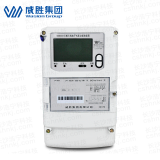 長(zhǎng)沙威勝DSSD331-U1 0.5S級(jí)三相三線(xiàn)多功能電能表