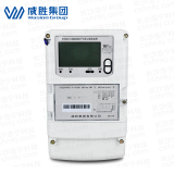 長(zhǎng)沙威勝DTSD341-U1 0.5S級(jí)三相四線(xiàn)多功能電能表